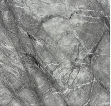 Brand New Majestic Knocker