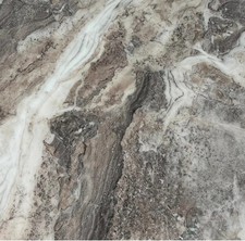 Majestic Knocker Back Lion