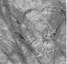 Majestic Knocker Back Lion